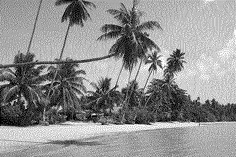 Dithered photograph of palm trees leaning over a tropical beach
