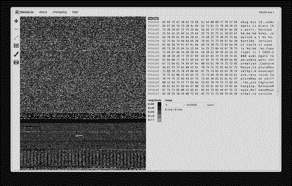 In the wxWidgets part of bitcoin.exe version 0.1 with bitvis