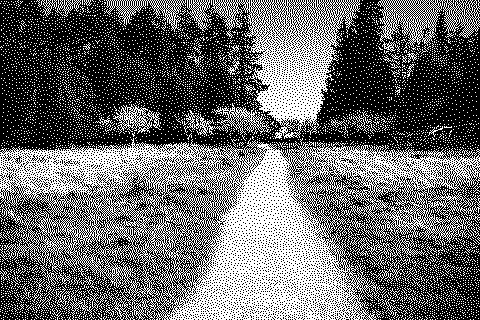 Dithered photograph of a footpath through a meadow toward a treeline