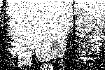 Dithered photograph of tall pines