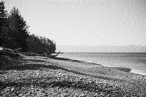 Dithered photograph of a grassy shoreline